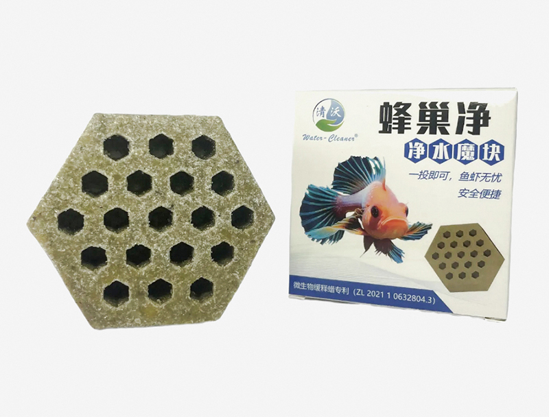 肇庆菌方